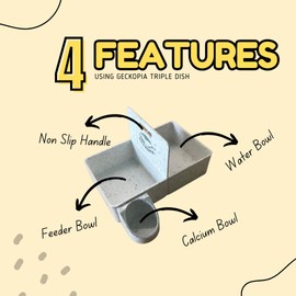 Geckopia Triple Dish | Marble