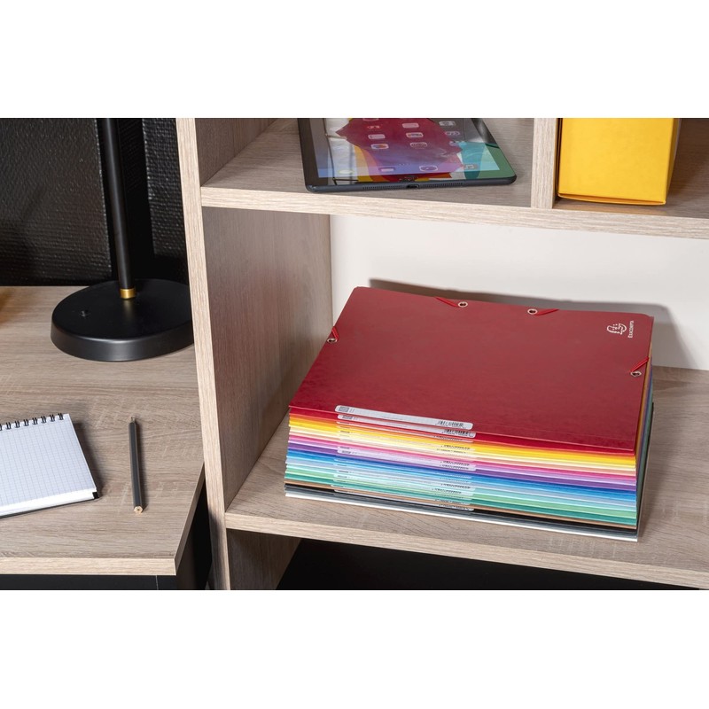 Exacompta - Ref 55510E - Elasticated 3-Flap Folders - Suitable