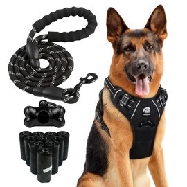 The Paw File Dog Harness and Leash Set - No Pull Vest & Reflective Leash with Foam Handle, Adjustable Oxford Halter, for Walking & Training - Includes 150 Poop Bags & Bone-Shaped Dispenser - Black, M