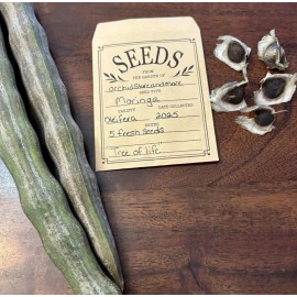 orchidstoreandmore 5-Moringa Seeds for Planting | Non-GMO | Fast growing tree seeds From Florida
