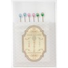 Misasa 101 Luxury Glass Waiting Needle, Shiosai 6 Pieces