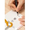 Pentel XSESP15FA Brush Script Sign Pen, Pigment Type, Fine Point,