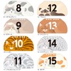 Toyo Shoshuppan 31 Cat Calendar Desk Calendar Perpetual Calendar