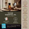 Gya Labs Thyme Essential Oil - 0.34 Fl Oz -