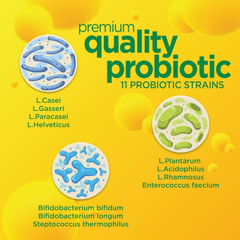 Gut Response Daily Probiotic for Men & Women, Slows Digestive