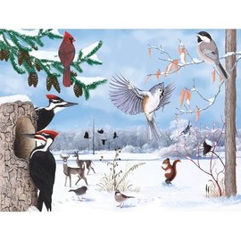 New York Puzzle Company - Cornell Lab Winter Trail - 1000 Random Cut Jigsaw Puzzle for Adults