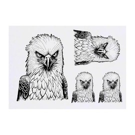 4 x 'Philippine Eagle' Temporary Tattoos - Water Resistant, Skin-Safe, Non-Toxic Transfers, Mixed Sizes (TO00075250)