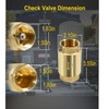 1 1/4 Inch Brass Check Valve for Well Pump, One