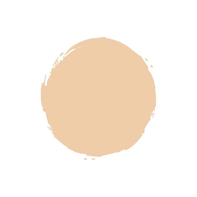 M.A.C COSMETICS Studio Tech Foundation Nc25