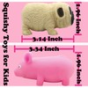 Splash Pig & Dog Squishy Toys (2PCS) Stress Balls for