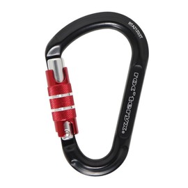 ROC 'Teryx (rokkuterikusu) sutorongukuikkurokku