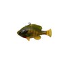 3D Pulse Tail Bluegill Line Thru 5 1/2" (Vivid Gill)
