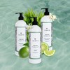 IZAPA Jade Maya Gel de Ducha 480ml con Aceite de