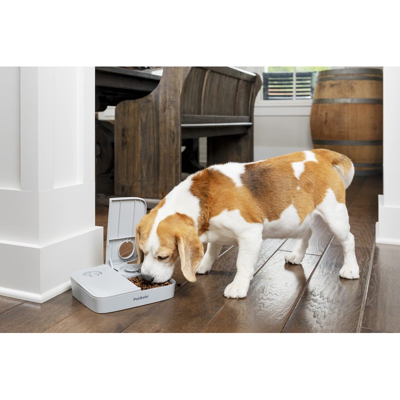 PetSafe 2 Meal Automatic Feeder, Built-in Timers, BPA Free Food
