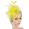 QDC Fascinators for Women Tea Party Headband Hats Cocktail Flower