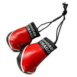 NYTKL 1 Pair Mini Boxing Gloves for Car Mirror, Novelty Miniature Punching Gloves Automobile Mirror Hanging Accessories, Christmas Ornament Car Interior Mirror Accessories (Trinidad & Tobago)