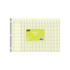 Staples 217893 Columnar Pads 13 Columns 11-Inch x 16 5/16-Inch