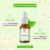 Passion Indulge Peppermint Essential Oil - 10 ml 100% Pure