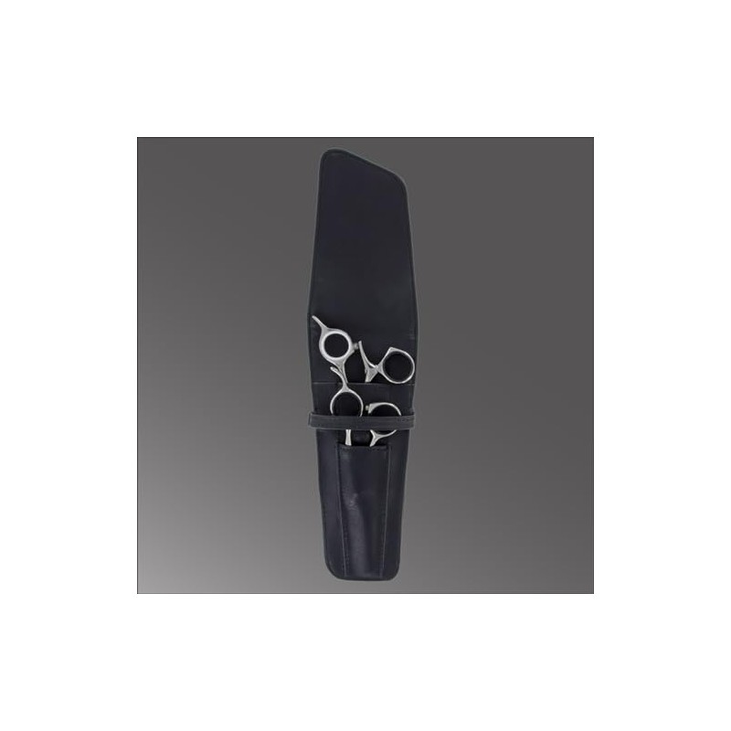 Sensei Shears 2 Shear Case