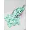Green Spearmint Mints Canada Mints 1 pound Spearmint Lozengers