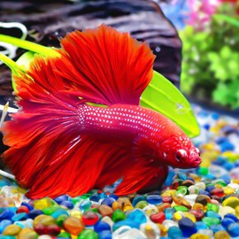 Keedolla 3 LB Green Sea Glass Aquarium Pebbles Polished Betta Fish Tank Gravel, Clear Fish Bowl Pebbles Colorful Glass Stones Rocks for Decoration Vases Aquarium Gravel Decor Art Craft