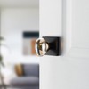dairazan Champagne-Gold Oval-Glass Door Knobs - Interior Passage Premium Crystal
