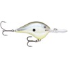 Rapala DT Metal SS 20 Fishing Lure, Disco Shad, 2-3/4-Inch