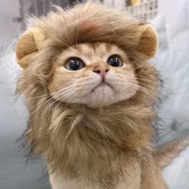 Pet wig, pet cat wearing lion headdress, adjustable and washable lion wig, cat headdress for holiday party - Size: Small