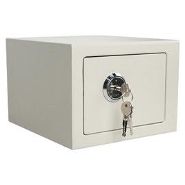 DreamsEden Small Steel Safe Box with Key Lock, Steel Security Safety Box with Keys for Personal Document Cash Jewelry 0.32 CU General Home Use 9.5 x 9 x 6.5 in (White)