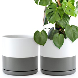 D'vine Dev Set of 2 Plants Pots, 10 Inch Ceramic Planter Pot for Plants with Drainage Hole and Saucer, White/Speckled Grey, 94-V-E-6