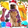 Zeaxuie 12 Pack Long-Lasting Heavy Various Dog Chew Toys Pack