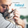 Felisyl L-Lysine Concentrate for Cats – 2 oz Immune &