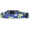 petexio (Petio) CC Star Color Blue Medium