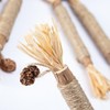 Aililong Catnip Sticks - Set of 6 Catnip Sticks, Natural