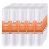 iSpring FP120X25 10" x 2.5" Universal Multi-layer Water Sediment Filter