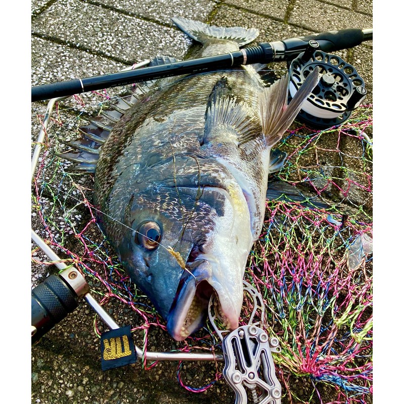 (TEAM TSURIO RAINBOW 8) Super Fishing Man Rainbow Single, Nylon,