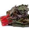 Outsidepride Outsidepride 1000 Seeds Beta Vulgaris Red Swiss Chard Vegetable
