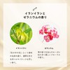 Wise Cosmetics Premium SC Cream