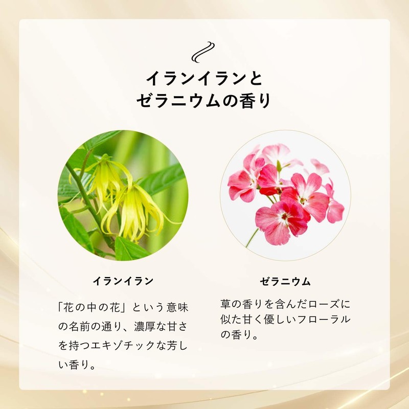 Wise Cosmetics Premium SC Cream