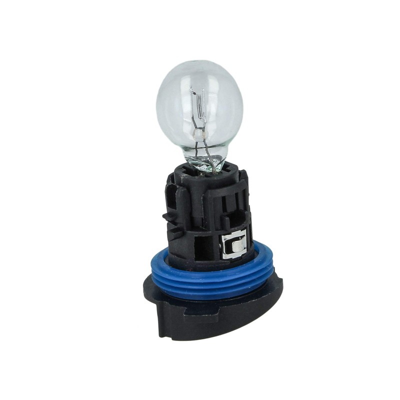 CARALL Halogen Bulbs 12 V for Cars (HP24W 12V 24W)