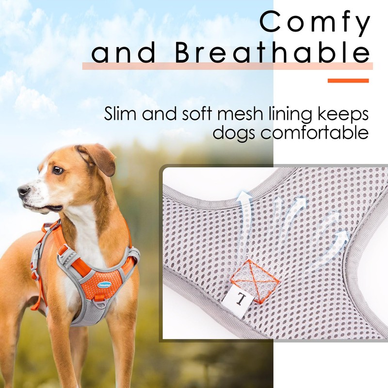 ThinkPet Dog No-Pull Sports Harness with Handle, for Medium and