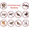 SUJAYU Bird Scare Tape, 1''x260FT Red Spiral Double Sided Repellent