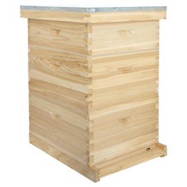 BEEINN Bee Hive Boxes 10 Frame Langstroth Beehive,Complete Beehive Kit Includes 2 Deep Brood Bee Hives Box, 1 Medium Super Bee Box with Beehive Frames and Foundation