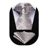 HISDERN Ties for Men Plaid Tie and Pocket Square Set