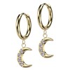 Crescent Moon Stainless Steel Hoop Earrings 1 Pair, Stainless Steel,