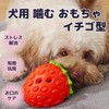 EU SOU Dog Chew Toy, Strawberry, Dog Toy, Nosework, Toothpaste,