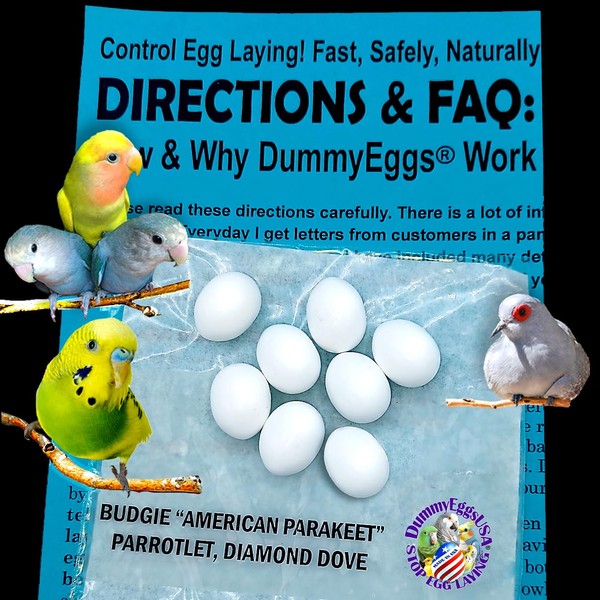 Plastic Budgie Eggs Stop Brooding Laying! 8 Dummy Eggs for