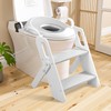 Potty Training Seat with Step Stool, Kids Potty Seat for