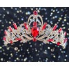 Dgasin Retirement Party Set - Red Tiara & Sash for