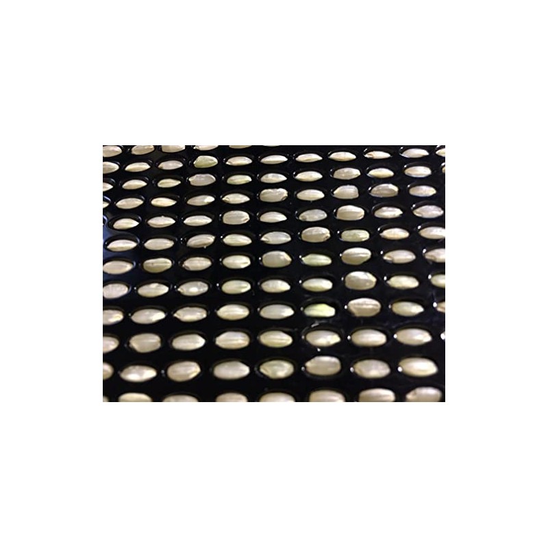 Fujiwara Scientifics Grain Counting Board for Brown Rice (100 grains)